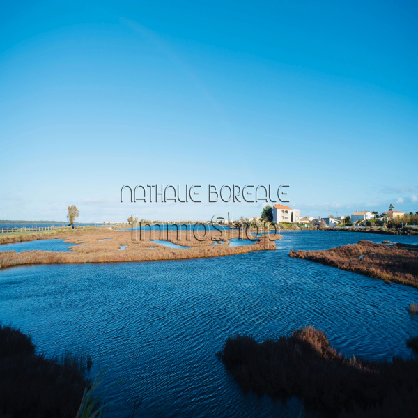 Offres de vente Villa Frontignan 34110
