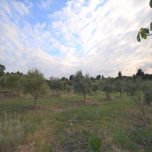 Offres de vente Terrain Villeveyrac 34560