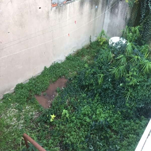 Offres de location Appartement Frontignan 34110