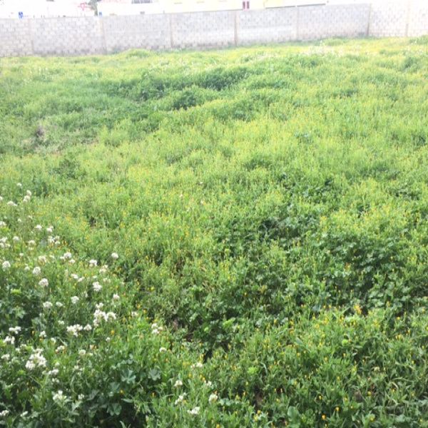 Offres de vente Terrain Cap d'Agde 34300