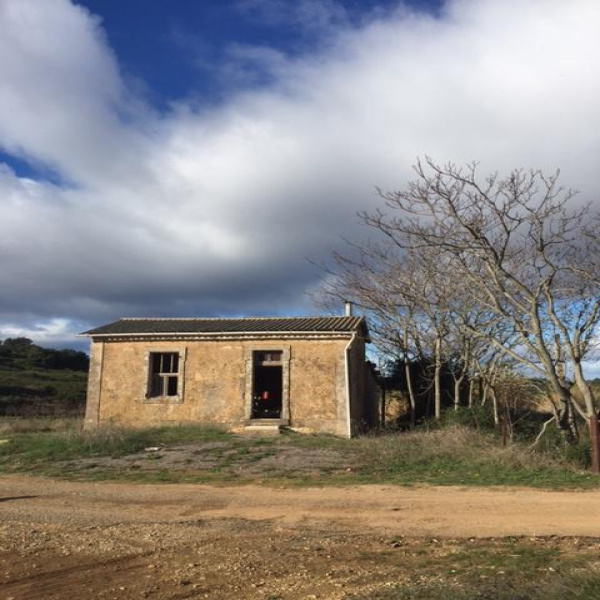 Offres de vente Mas Saint-Pargoire 34230