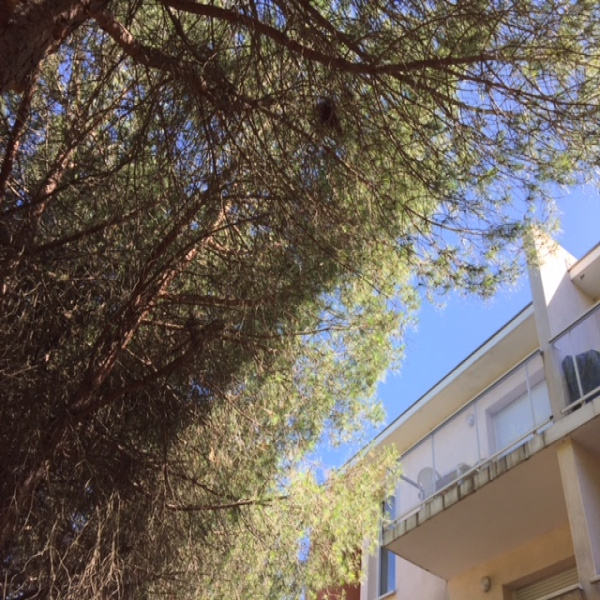 Offres de vente Appartement Saint-Georges-d'Orques 34680