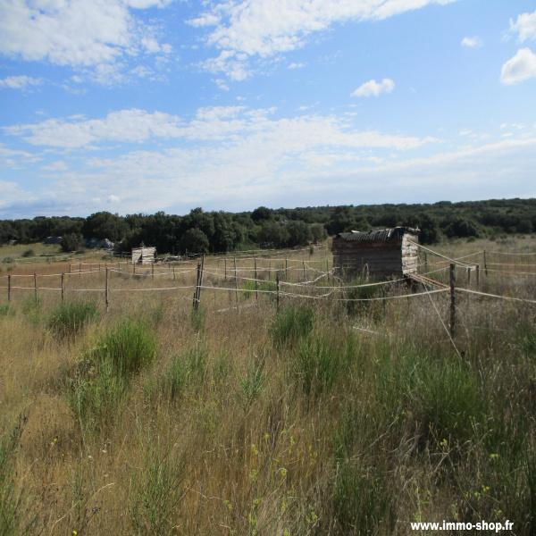 Offres de vente Terrain Montbazin 34560